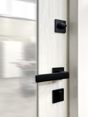 Цилиндровый замок «BORDER», вид изнутри Цилиндровый замок «BORDER», вид изнутри